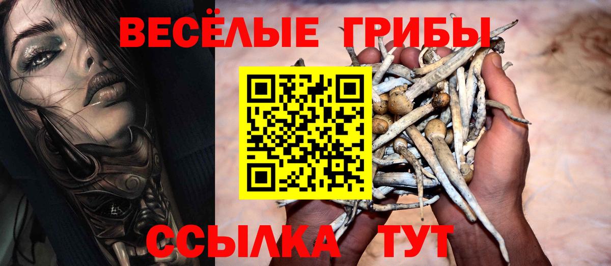Псилоцибиновые грибы Cubensis  Вход с VPN  Галлюциногенные грибы мухоморы  Острогожск 